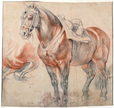 Een gezadeld paard door Peter Paul Rubens