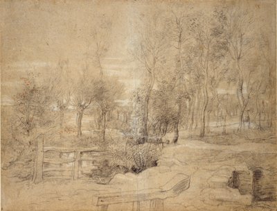 Boslandschap door Peter Paul Rubens