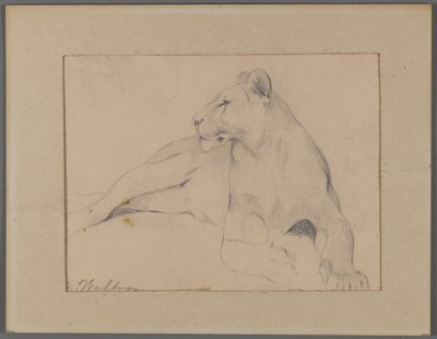 Zittende leeuwin door Philip H. Wolfrom