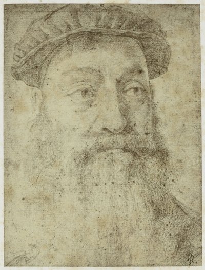 Foto van Bronzino
