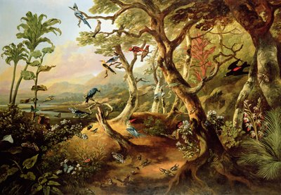 Exotische Vogels en Insecten Tussen Bomen en Bladeren in een Bergachtig Rivierlandschap door Philip Reinagle
