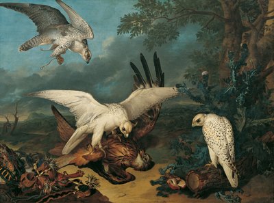 Een rode wouw, verslagen door IJslandse valken door Philipp Ferdinand de Hamilton