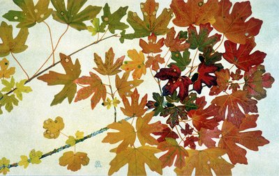 Herfstbladeren, door Philippe Robert, edities Robert Ried door Philippe Robert