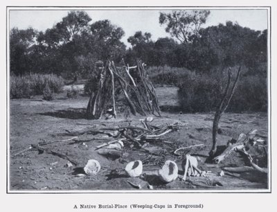 Een inheemse begraafplaats, huilende kappen op de voorgrond door Photographer Australian