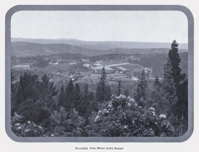 Piccadilly, vanaf Mount Lofty Ranges door Photographer Australian