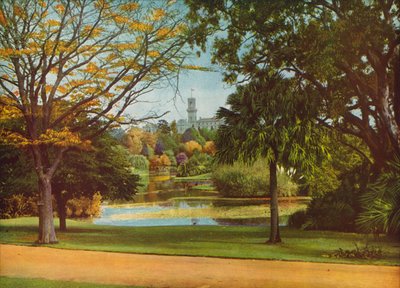  door Photographer Australian