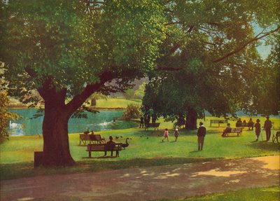 De botanische tuinen, Melbourne (kleurenfoto) door Photographer Australian