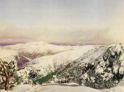 Winter in de Victoriaanse Alpen door Photographer Australian