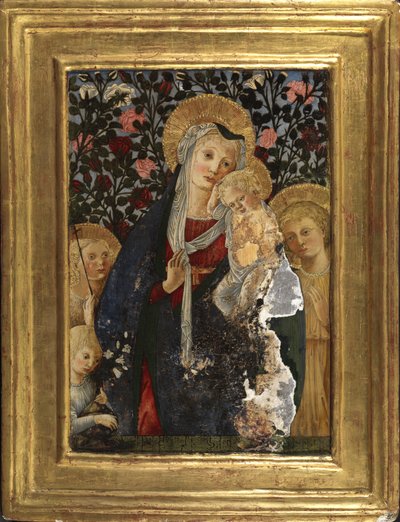 Maagd en Kind met de jonge Sint Jan, Sint Elizabeth en een kind met een vaas lelies, 1450-59 door Pier Francesco Fiorentino