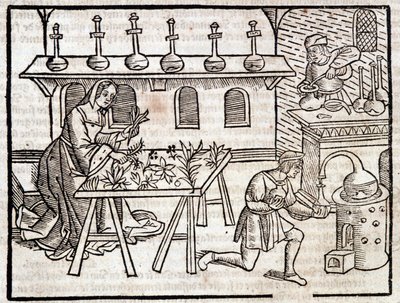 Geneeskunde door planten en hun deugden - in Des profits champêtres et ruraux door Pierre de Crescent, Parijs door Piero da Crescentino