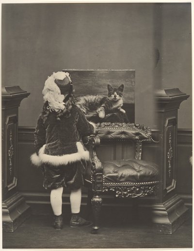  door Pierre-Louis Pierson
