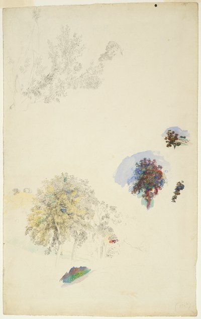 Studies van bomen en bladeren door Pierre Auguste Renoir