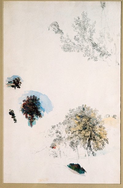 Studies van bomen door Pierre Auguste Renoir