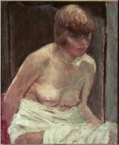 Tors van een jonge vrouw in witte peignoir door Pierre Bonnard