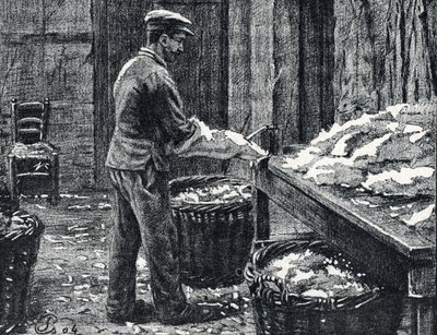 Leer: splitsen van konijnenhuiden om leer te maken Gravure uit "Excursion a travers les metiers" door Pierre Calmette Privécollectie door Pierre Calmettes