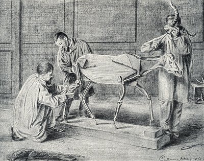 Taxidermie: taxidermisten bereiden het kunstmatige skelet voor in de werkplaats Gravure uit "Excursion a travers les metiers" door Pierre Calmette Privécollectie door Pierre Calmettes