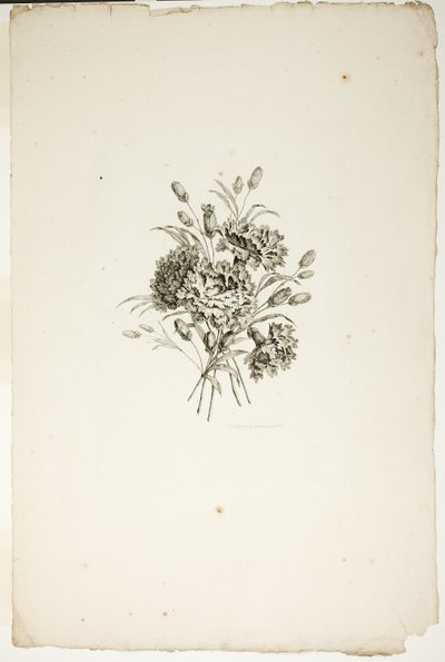 Boeket met anjers, uit de collectie van verschillende bloemenboeketten, bedacht en getekend door Jean Pillement en gegraveerd door P. C. Canot door Pierre Charles Canot