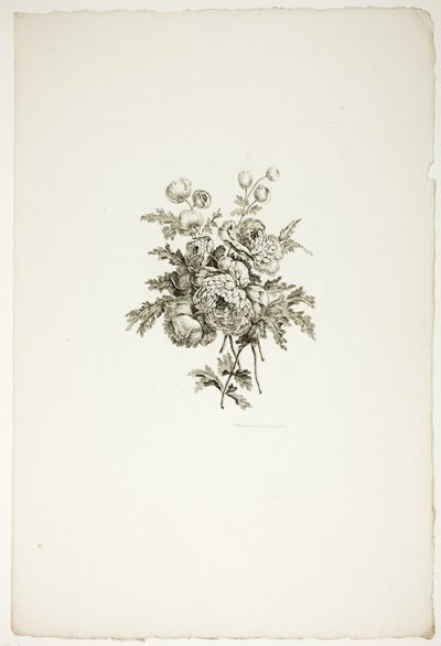 Boeket met pioenen, uit een verzameling van verschillende boeketten bloemen, bedacht en getekend door Jean Pillement en gegraveerd door P. C. Canot door Pierre Charles Canot