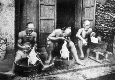 Chinese eendenveren, "Saigon en zijn omgeving", fot. Dieulefils, ca. 1900. door Pierre Dieulefils