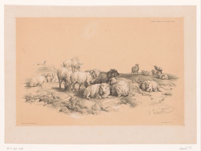 Studie van een kudde schapen door Pierre Frédéric Lehnert