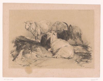 Studie van schapen en geiten Dierstudies van Cooper door Pierre Frédéric Lehnert