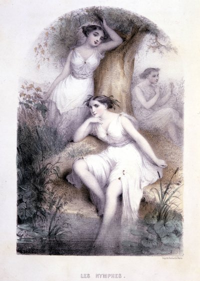De nimfen - in 