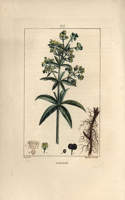 Meekrap door Pierre Jean Francois Turpin
