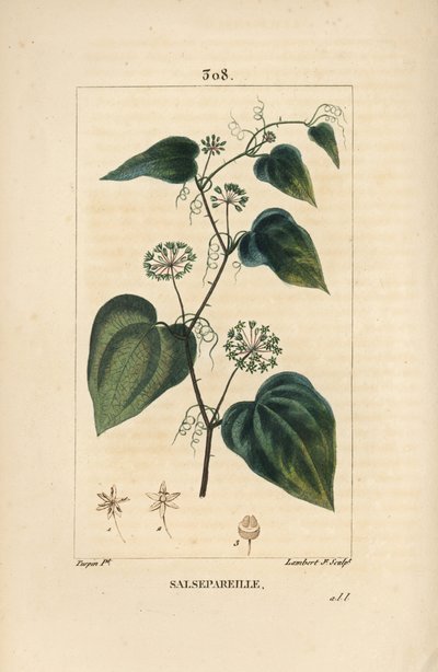 Salsepareille of Berg Granon door Pierre Jean Francois Turpin