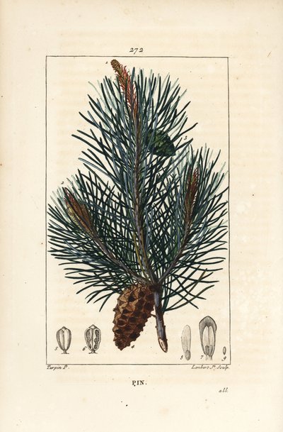Grove den door Pierre Jean Francois Turpin