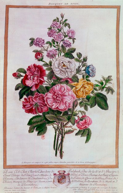 Boeket rozen, lithografie door Pierre Joseph Buchoz, 18e eeuw, Parijs, B.N. door Pierre Joseph Buchoz