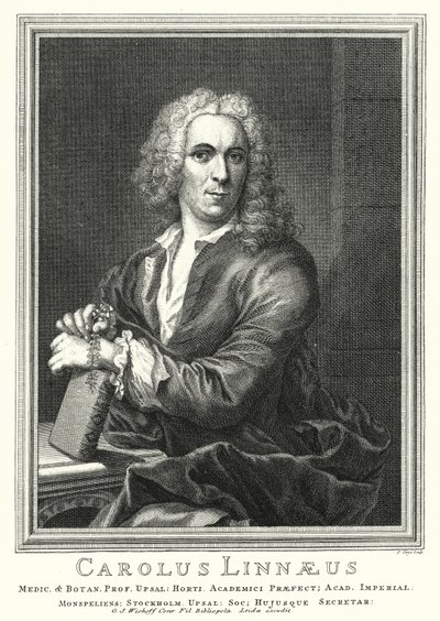Carl Linnaeus, Zweedse botanicus en zoöloog door Pierre Tanje