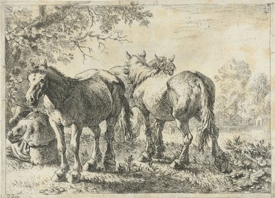Drie paarden en een boer door Pieter Bodding van Laer