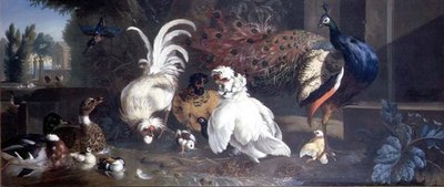 Een Pauw, Kippen, Eenden en een IJsvogel door Pieter Casteels