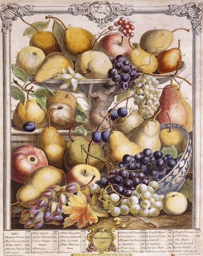 November 1732, met seizoensgebonden appels, peren, druiven enz., 1732 door Pieter Casteels