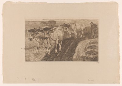 Vier ploegende ossen door Pieter Dupont (signed by artist)