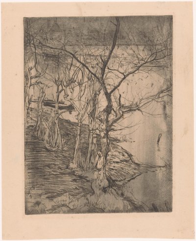 Kale bomen bij het water door Pieter Dupont