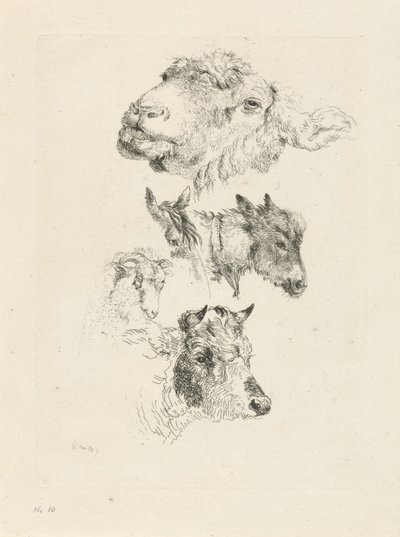 Studieblad met schaap-, paard-, ezel-, ram- en stierenkop door Pieter Gerardus van Os