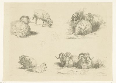 Vier voorstellingen met schapen en geiten door Pieter Gerardus van Os