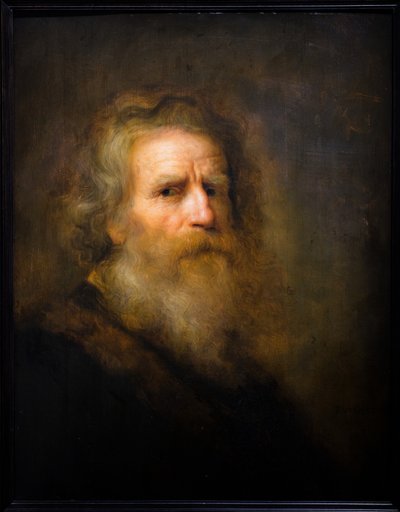 Hoofd van een oude man door Pieter Harmansz Verelst