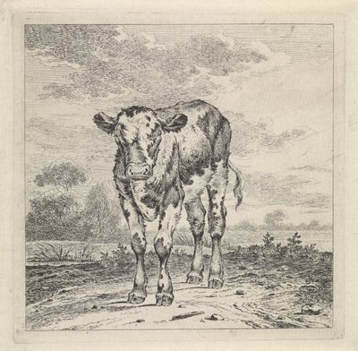 Landschap met kalf door Pieter Janson