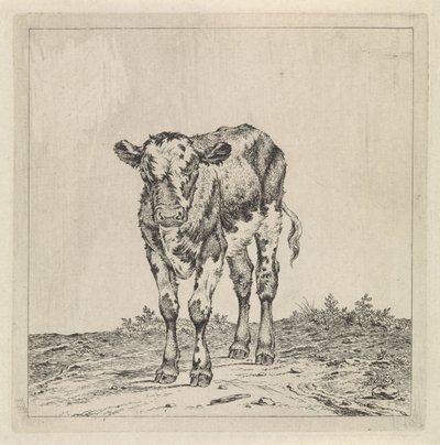 Landschap met kalf door Pieter Janson