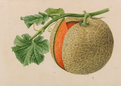 Originelen van publicaties over tuinbouw en boomteelt, 1878-1881 door Pieter Joseph de Pannemaeker