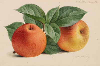 Originelen van publicaties over tuinbouw en boomteelt door Pieter Joseph de Pannemaeker