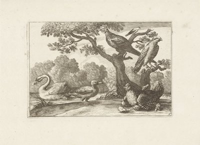 Kip met kuikens en andere vogels door Pieter Schenk (I) (attributed to)