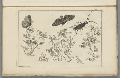 Drie bloementakken met vogels, vlinders en een insect door Pieter Schenk (II)