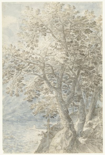 Bomen bij steile rotswand door Pieter Stevens (I)