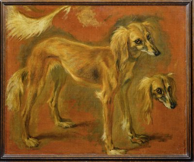 Een windhond (schilderij op canvas) door Pieter or Peter Boel