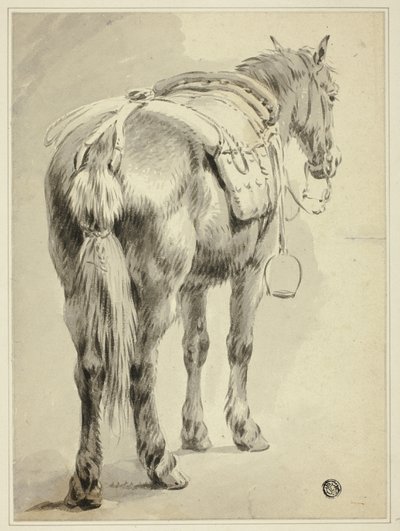 Zadelpaard door Pieter van Bloemen