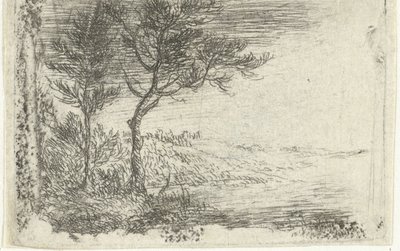 Duits: Landschap met twee bomen door Pieter van Laer