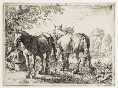 Drie paarden in een veld door Pieter van Laer